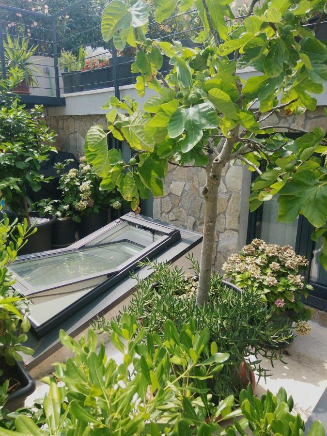 Artspace Location-Opatija-3 Bedroom House With Rooftop Garden By Beach Eksteriør billede