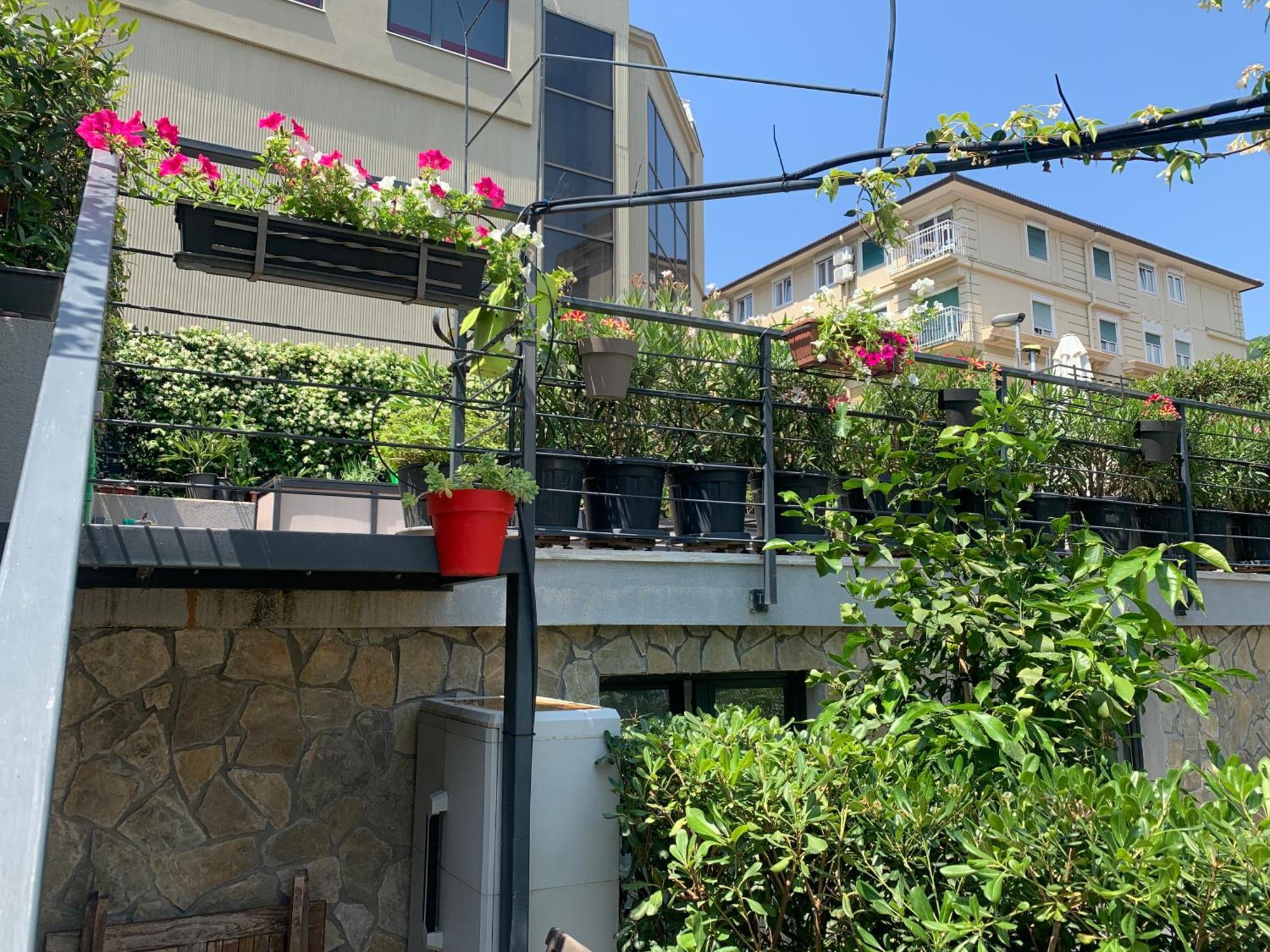 Artspace Location-Opatija-3 Bedroom House With Rooftop Garden By Beach Eksteriør billede