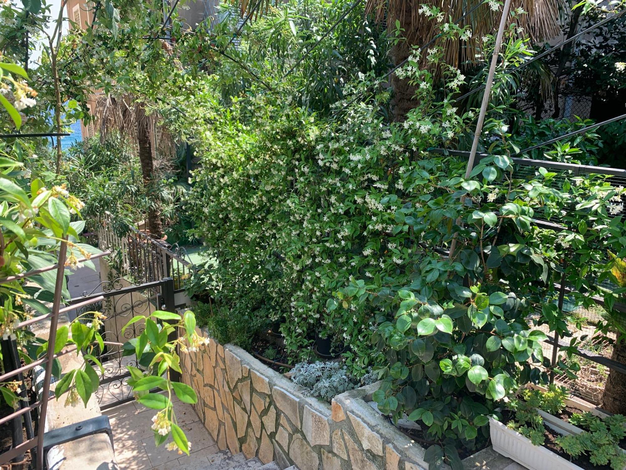 Artspace Location-Opatija-3 Bedroom House With Rooftop Garden By Beach Eksteriør billede